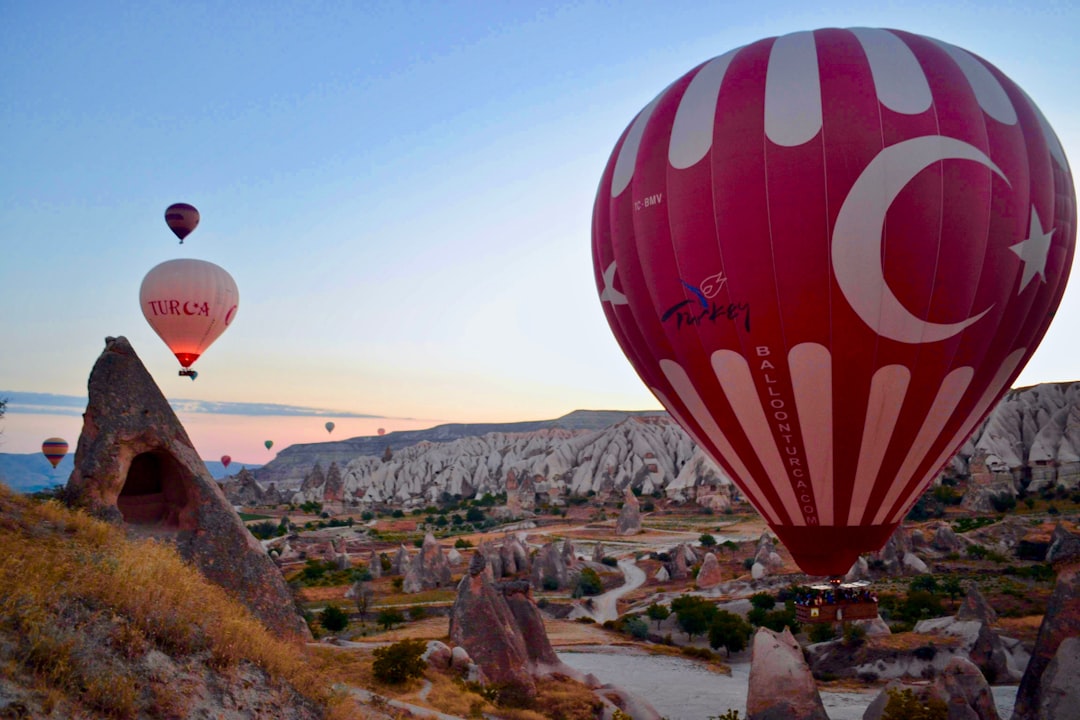 Pazar Araştırması